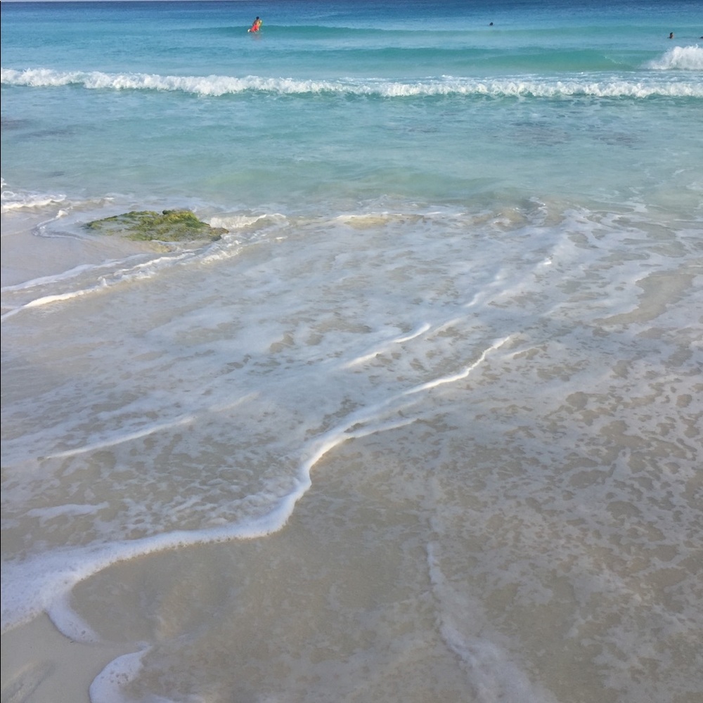 Meet your Posher, Larissa